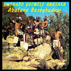 Avuthiwe Amazambane