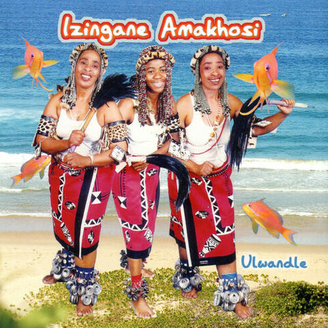 Ulwandle