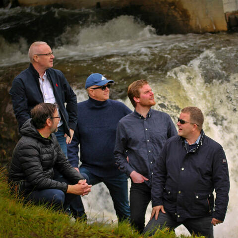 Grái fiðringurinn