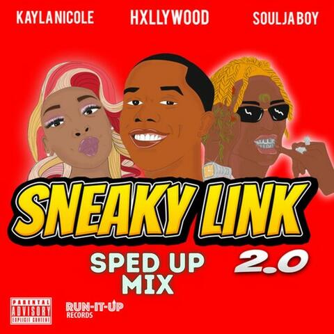 Sneaky Link 2.0