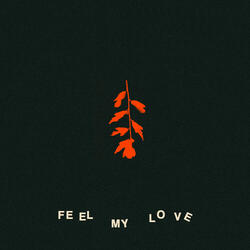 Feel My Love