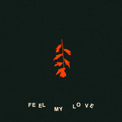 Feel My Love