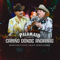 Cariño Dónde Andarás
