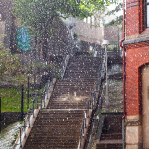 Soothing Rain in Sweden
