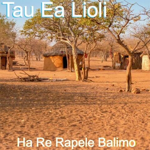 Ha Re Rapele Balimo