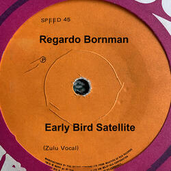 Early Bird Satellite