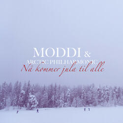 Nå kommer jula til alle