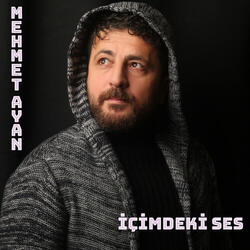 İÇİMDEKİ SES
