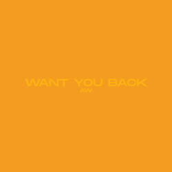 Want You Back