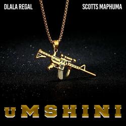 Umshini