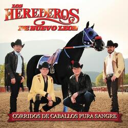 La Polvareda