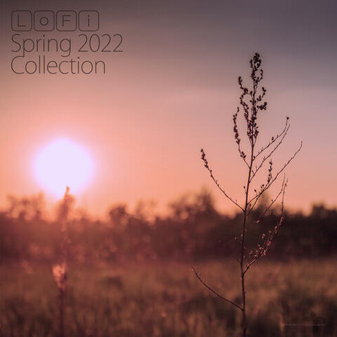 LoFi Spring 2022 Collection