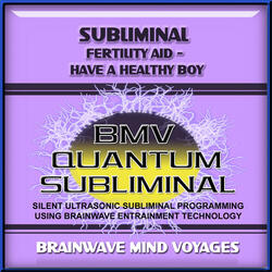 Subliminal Fertility Have a Baby Boy - Silent Ultrasonic Track