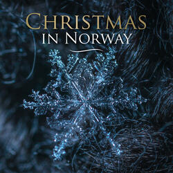Christmas Alone