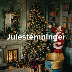 Christmas Alone