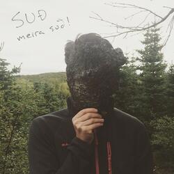 Suð