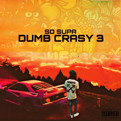 Dumb Crasy 3