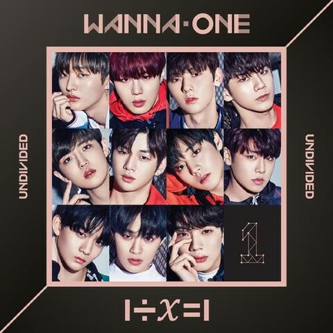 1÷x=1 (UNDIVIDED)