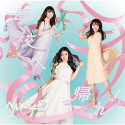 がっつきガールズ/Team N