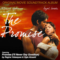 The Promise (I'll Never Say Goodbye)