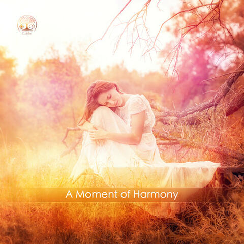 A Moment of Harmony