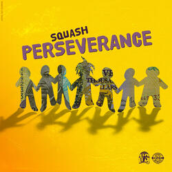 Perseverance