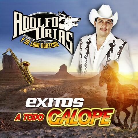 Exitos A Todo Galope