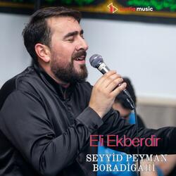 Eli Ekberdir