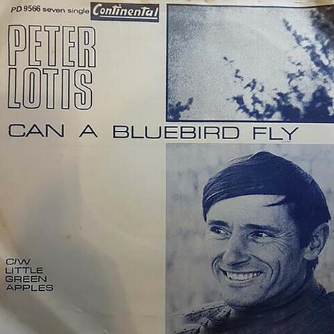 Can a Bluebird Fly? + Little Green Apples