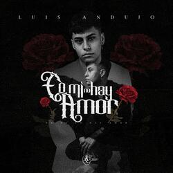En Mi No Hay Amor