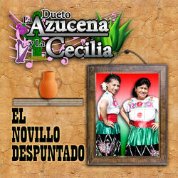 El Novillo Despuntado