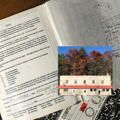 fall ‘21