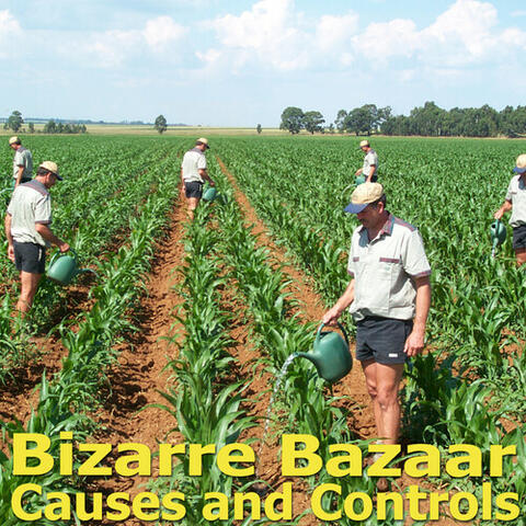 Causes and Controls