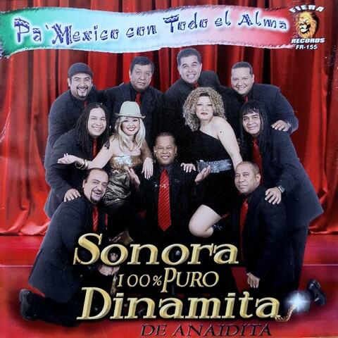 Sonora 100% Puro Dta De Anaidita