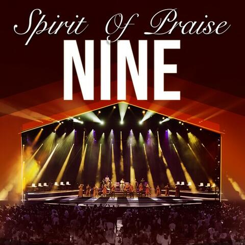 Spirit Of Praise, Vol. 9