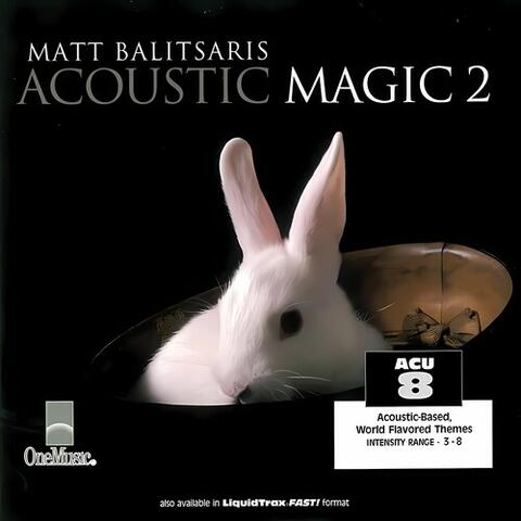 Acoustic Magic 2