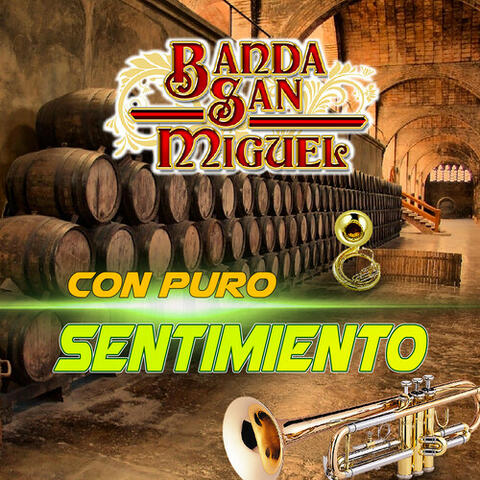 Con Puro Sentimiento