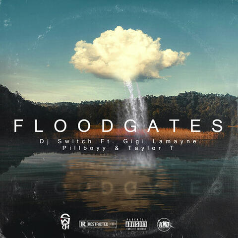 Floodgates