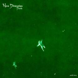 New Dimension