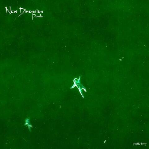 New Dimension