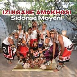 Ngiyayibonga Izitha
