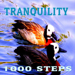 Tranquility