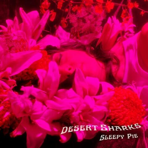 Sleepy Pie