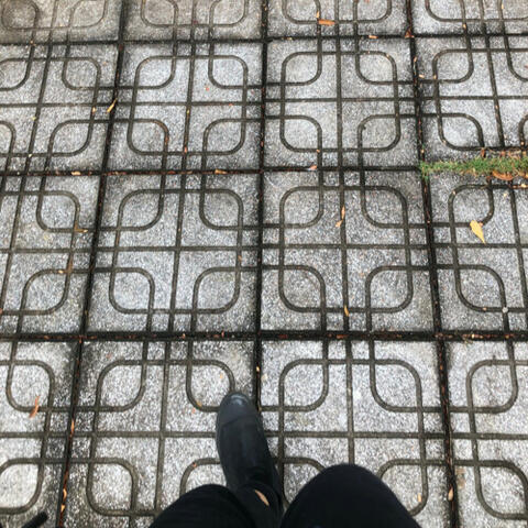 Như Bao Người Thoáng Qua