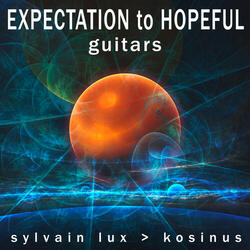 Expectation To Hopeful Guitars