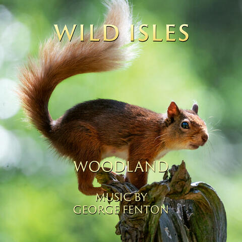 Wild Isles: Woodland