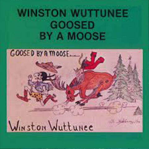 Goosed By A Moose