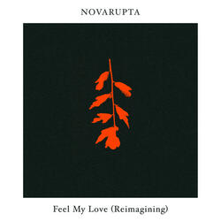 Feel My Love