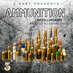 Ammunition