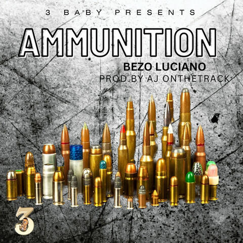 Ammunition